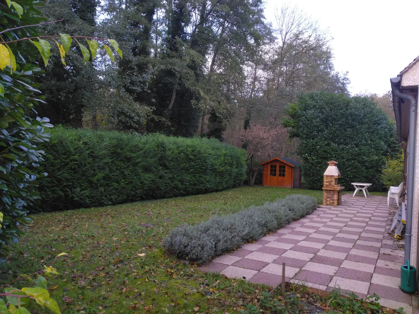 Haies hautes et irrégulières au fond du jardin, avant la taille