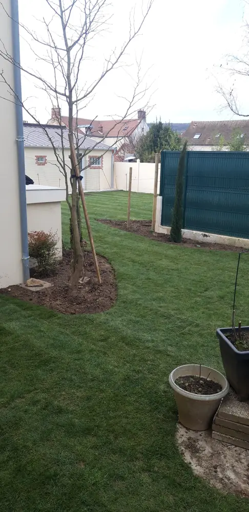 Gazon neuf et arbre planté dans un massif le long de la maison