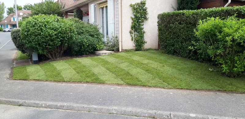 Gazon refait et tondu en bandes devant une maison, arbustes taillés