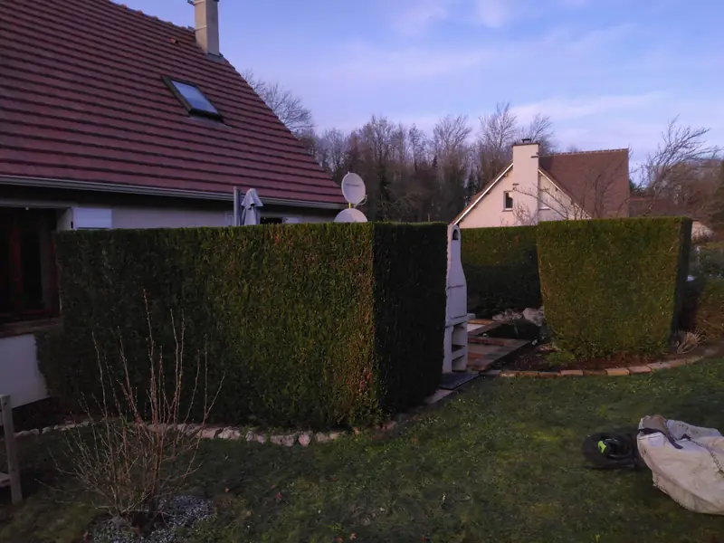 Haie taillée autour d’une maison