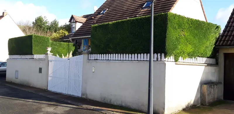 Haie taillée au carré au-dessus d’un mur blanc et d’un portail