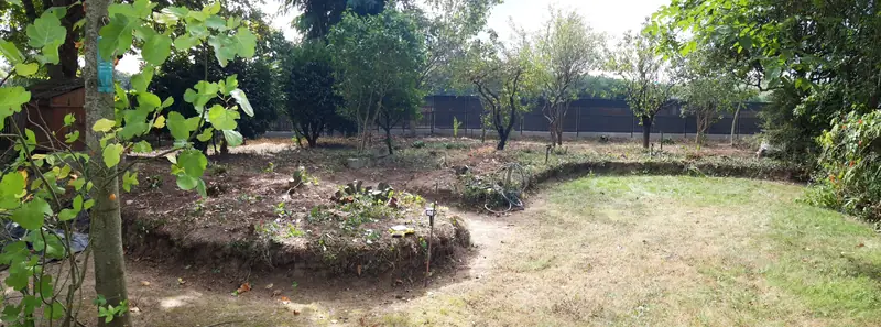 Terrain inégal et herbe sèche entre des arbres fruitiers, avant travaux