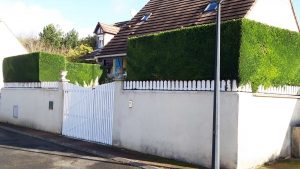 Taille de haie - Réalisation VB Jardin