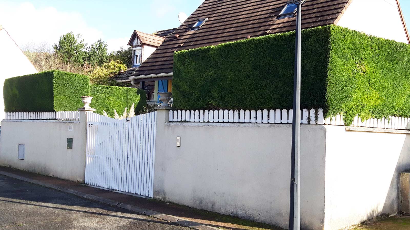 Taille de haie - Réalisation VB Jardin