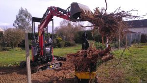 Abattage d'une haie