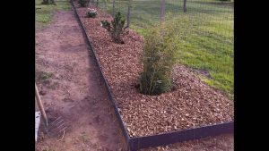 remplacement d'une haie de thuya par une haie libre avec bordure et paillage de copeaux